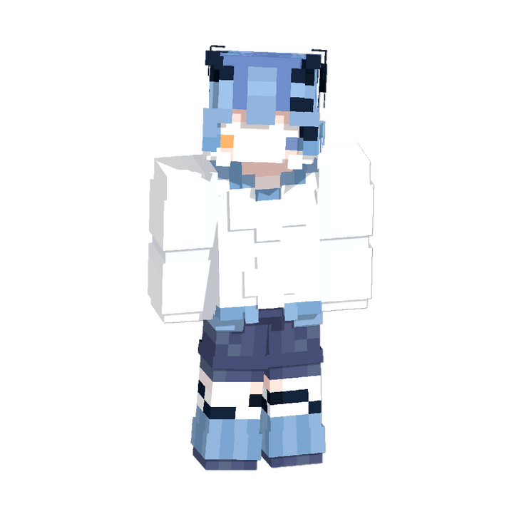 MC skin